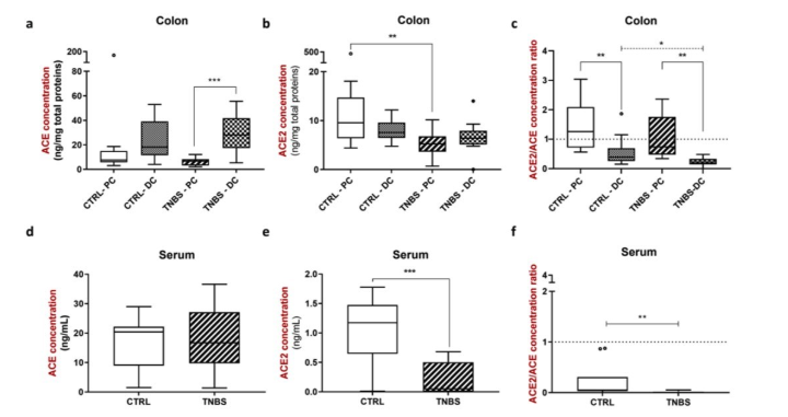 ACE and ACE2: fecal biomarkers for monitoring intestinal health
