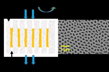 Ceramic membrane with highly aligned pores for CO2 separation