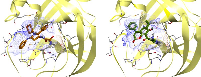 SARS-CoV-2 Targeted Libraries for offer