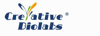 De Novo Antibody Sequencing Services