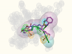 Computer aided drug discovery services