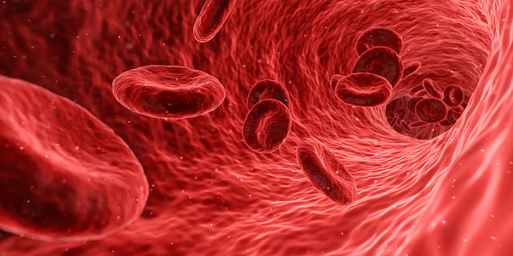 A new therapy for the treatment of myeloproliferative diseases