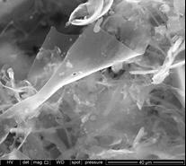 Sustainable graphene materials from gren coke