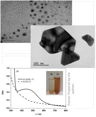 PROCESS TO OBTAIN SILVER NANOPARTICLES, SILVER NANOPARTICLES AND THEIR USES