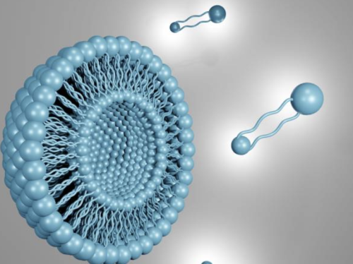 Continuous Production of Liposomes using Supercritical Carbon Dioxide