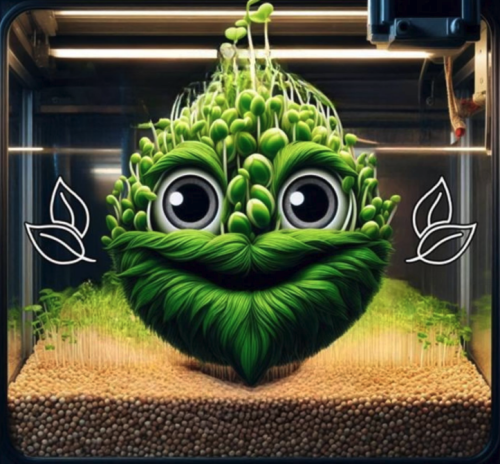Nutridense Chips Without Fields.
