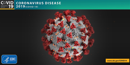 Coronavirus / COVID-19: Risk Mitigation Webinar - Part 2