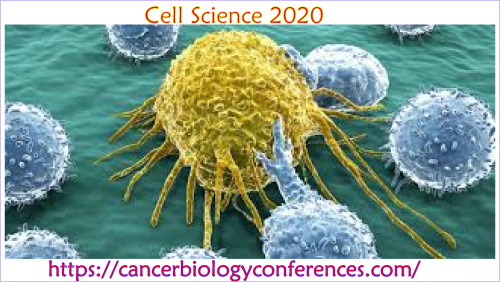 3rd International Conference on Cancer Biology and Cell Science